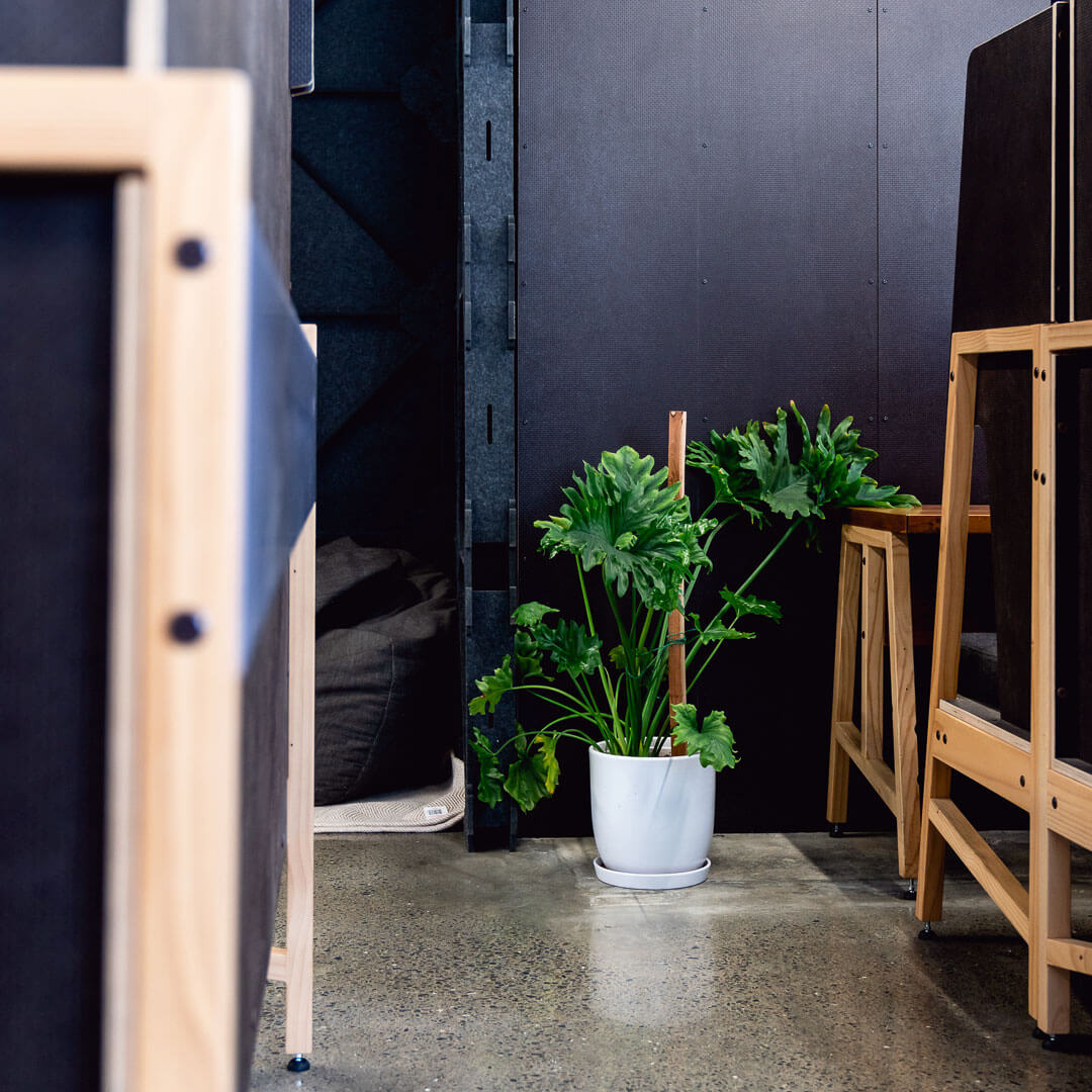 2/57 Plants
